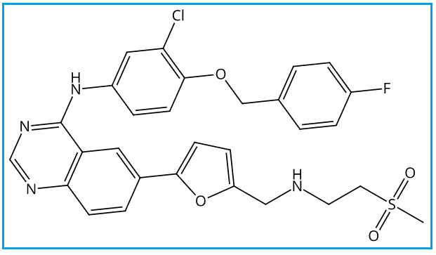 Lapatinib 4-Fluoro Analog